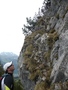 Riseten