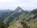 Riseten