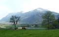 Schloss Marschlins