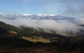 Sewenseeli