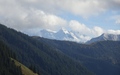 Wetterhorn