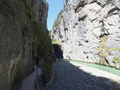 Aareschlucht