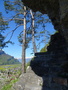 Alpbachschlucht
