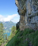 Buggi wandelpad