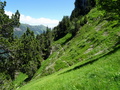 Buggi wandelpad