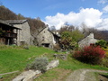 Curzutt