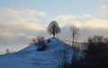 Eriswil