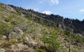 Goldauer Bergsturz