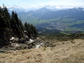 Goldauer Bergsturz