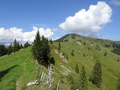 Nünalpstock