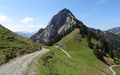 Rigi Hochflue