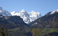 Rosenhorn, Wellhorn, Wetterhorn