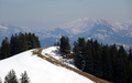 Rossberg