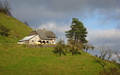 Schmitteweid