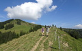 Starmind Hiking Day