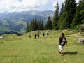 Starmind Hiking Day