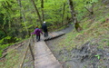 Taminaschlucht