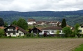 Erlach