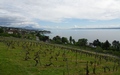 Lac de Neuchâtel