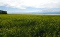Lac de Neuchâtel