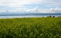 Lac de Neuchâtel