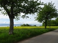 Lac de Neuchâtel