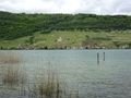 Ligerz