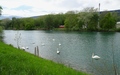 Zihlkanal