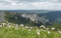 Dos d'Ane