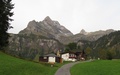 Braunwald