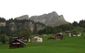 Braunwald