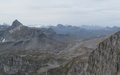 Wild landschap
