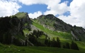 Fochsenflue, Spitzflue