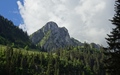 Spitzflue