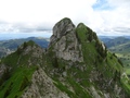 Spitzflue