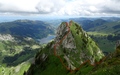 Spitzflue