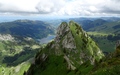 Spitzflue