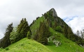 Spitzflue