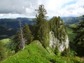 Spitzflue