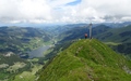 Spitzflue