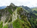 Spitzflue