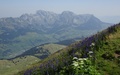 Alpstein