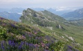 Nägeliberg, Schären en Leistchamm