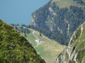 Schwaldis