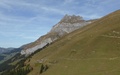 Hahnen