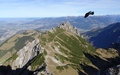 Drei Schwestern met vogel