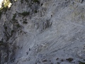 Fürstensteig