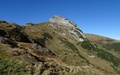 Margelchopf