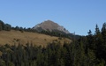 Galinakopf
