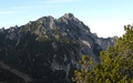 Hohe Köpfe